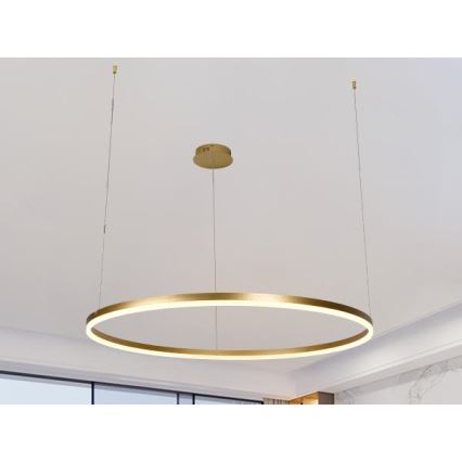 LED Aptumšojama lustra ar auklu LED/55W/230V 3000-6500K + tālvadības pults