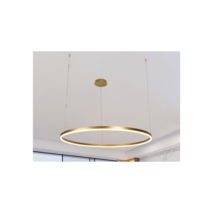 LED Aptumšojama lustra ar auklu LED/55W/230V 3000-6500K + tālvadības pults