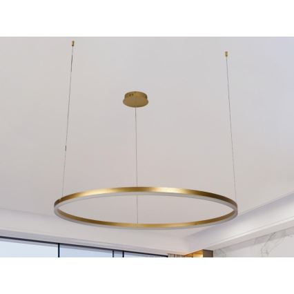 LED Aptumšojama lustra ar auklu LED/55W/230V 3000-6500K + tālvadības pults