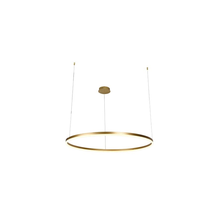 LED Aptumšojama lustra ar auklu LED/55W/230V 3000-6500K + tālvadības pults