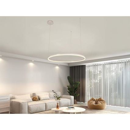 LED Aptumšojama lustra ar auklu LED/55W/230V 3000-6500K + tālvadības pults