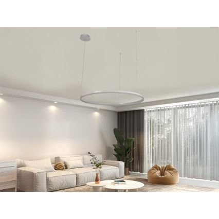 LED Aptumšojama lustra ar auklu LED/55W/230V 3000-6500K + tālvadības pults