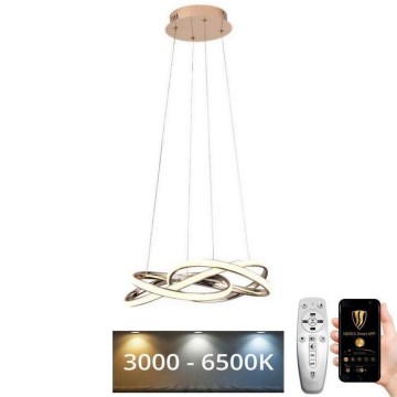 LED Aptumšojama lustra ar auklu LED/65W/230V 3000-6500K d. 48 cm zelta + tālvadības pults