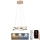 LED Aptumšojama lustra ar auklu LED/65W/230V 3000-6500K d. 48 cm zelta + tālvadības pults