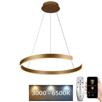 LED Aptumšojama lustra ar auklu LED/70W/230V 3000-6500K d. 60 cm + tālvadības pults