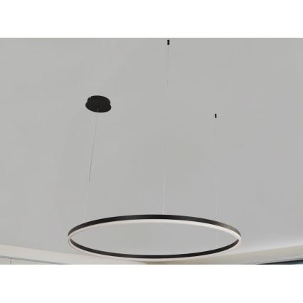 LED Aptumšojama lustra ar auklu LED/72W/230V 3000-6500K d. 100 cm + tālvadības pults