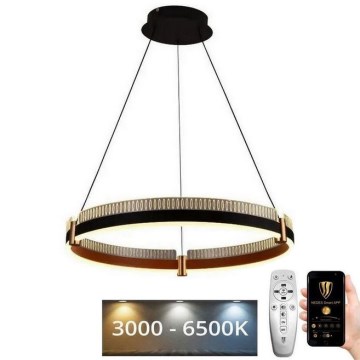 LED Aptumšojama lustra ar auklu LED/80W/230V 3000-6500K d. 60 cm + tālvadības pults