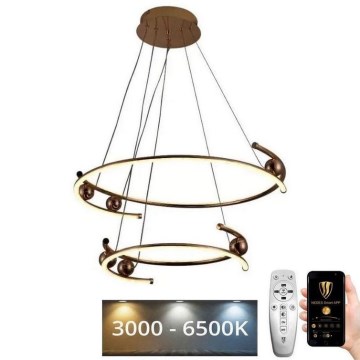 LED Aptumšojama lustra ar auklu LED/80W/230V 3000-6500K d. 60 cm + tālvadības pults