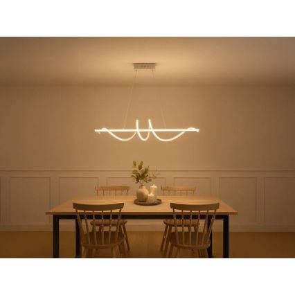 LED aptumšojama lustra uz troses LED/50W/230V 3000-6500K 100 cm + tālvadības pults