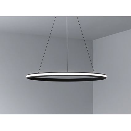 LED regulējama lustra uz troses LED/55W/230V 3000-6500K Ø 60 cm + ar tālvadības pulti