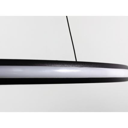 LED regulējama lustra uz troses LED/55W/230V 3000-6500K Ø 60 cm + ar tālvadības pulti