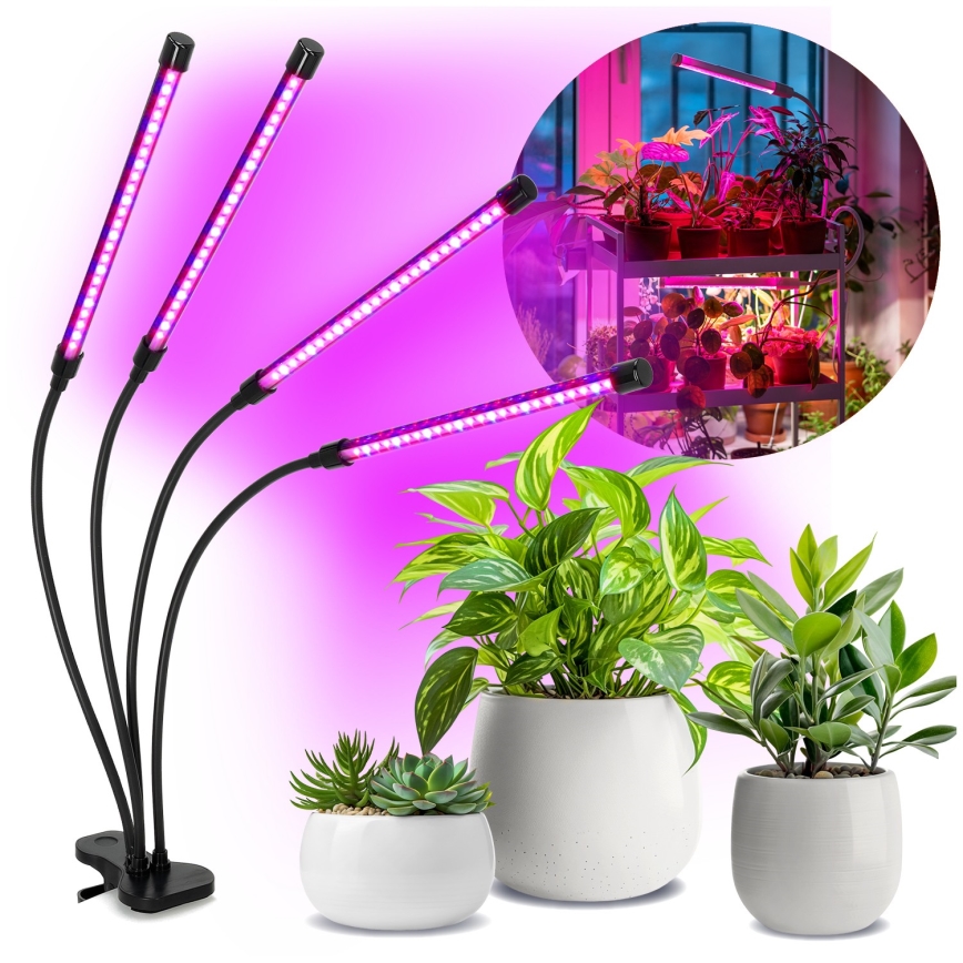LED Aptumšojama pielāgojama galda lampa ar stiprinājumu augu audzēšanai VITARO 4xLED/10W/230V melna