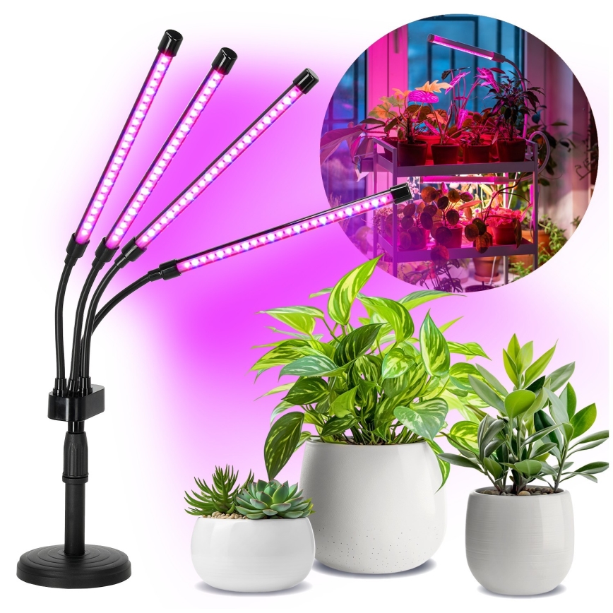 LED Aptumšojama pielāgojama galda lampa augu audzēšanai VITARO 4xLED/10W/230V melna