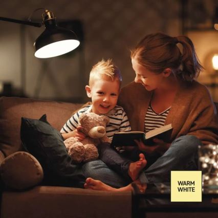 LED aptumšojama spuldze A60 E27/10,5W/230V 2700K