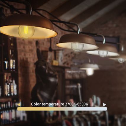 LED Aptumšojama spuldze FILAMENT G45 E27/4,5W/230V 2700-6500K Wi-Fi - Aigostar