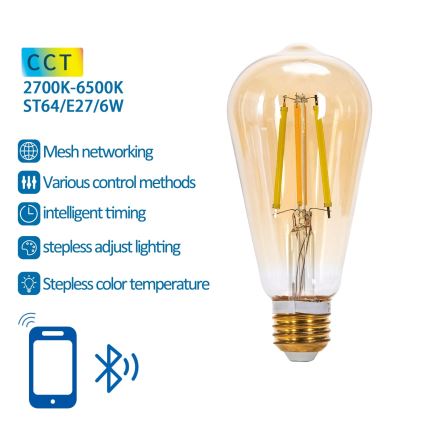 LED Aptumšojama spuldze FILAMENT MESH Viedā ST64 E27/6W/230V 2700-6500K - Aigostar
