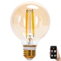 LED Aptumšojama spuldze FILAMENT MESH Viedā G80 E27/6W/230V 2700-6500K - Aigostar