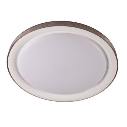 LED Aptumšojama vannas istabas griestu lampa GRAŻYNA LED/72W/230V 3000-6000K d. 51 cm IP44 pelēka + tālvadības pults