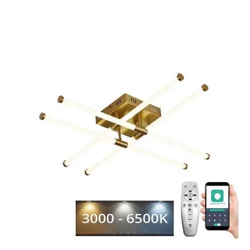 LED Aptumšojama virsapmetuma lustra LED/30W/230V 3000-6500K + tālvadības pults