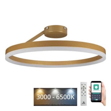 LED Aptumšojama virsapmetuma lustra LED/40W/230V 3000-6500K zelta + tālvadības pults
