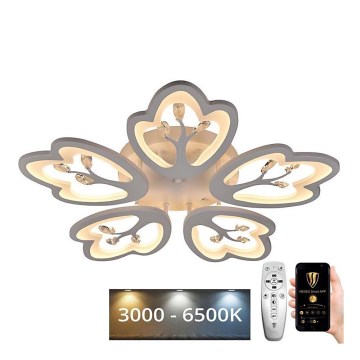 LED Aptumšojama virsapmetuma lustra LED/80W/230V 3000-6500K + tālvadības pults