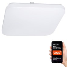 LED Aptumšojams griestu gaismeklis SMART LED/28W/230 Wi-Fi