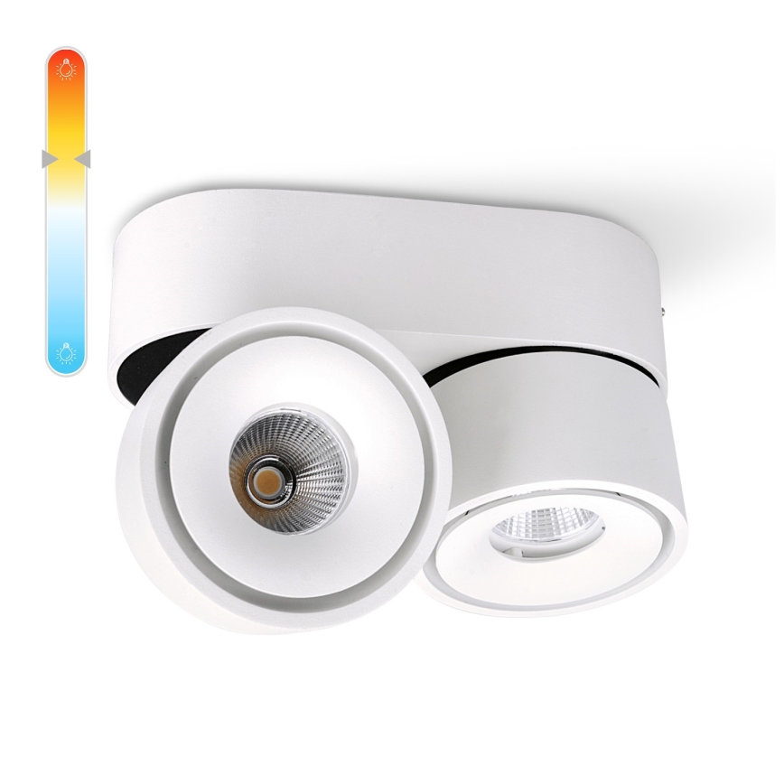 LED Aptumšojams starmetis LAHTI MINI 2xLED/9W/230V 3000K CRI 90 balts