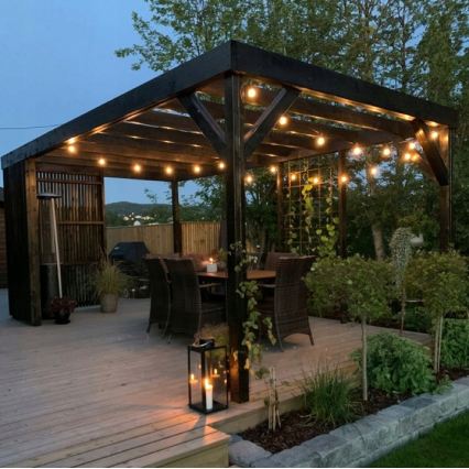 LED āra dekoratīvā virtene 20xE27/1W/230V 11,44 m IP44 melna