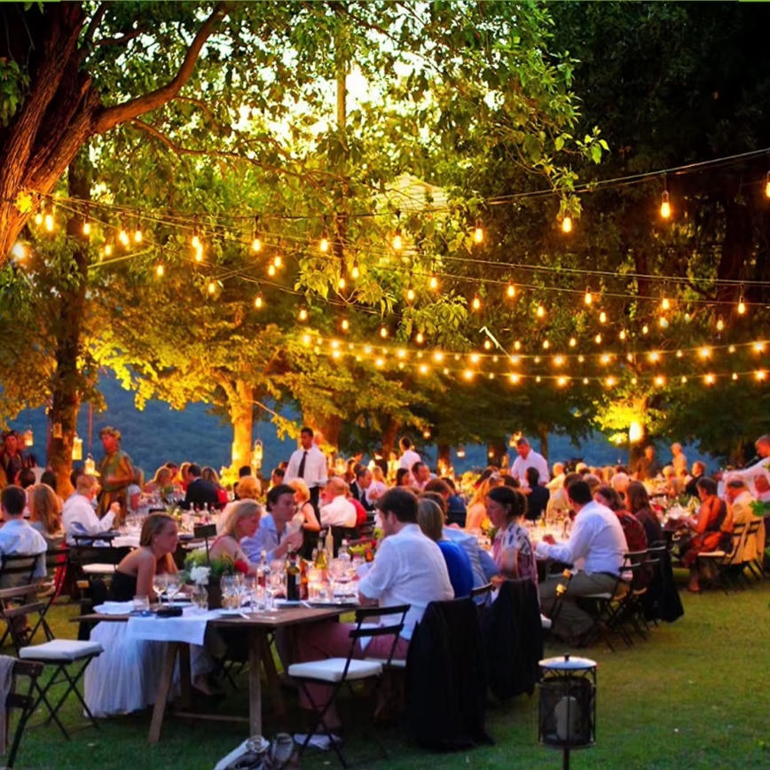 LED Āra dekoratīvais virtene 20xE27/1W/230V 20 m IP65 melns