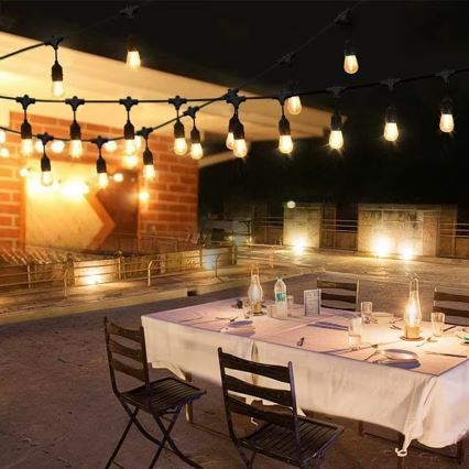 LED Āra dekoratīvais virtene 20xE27/1W/230V 20 m IP65 melns