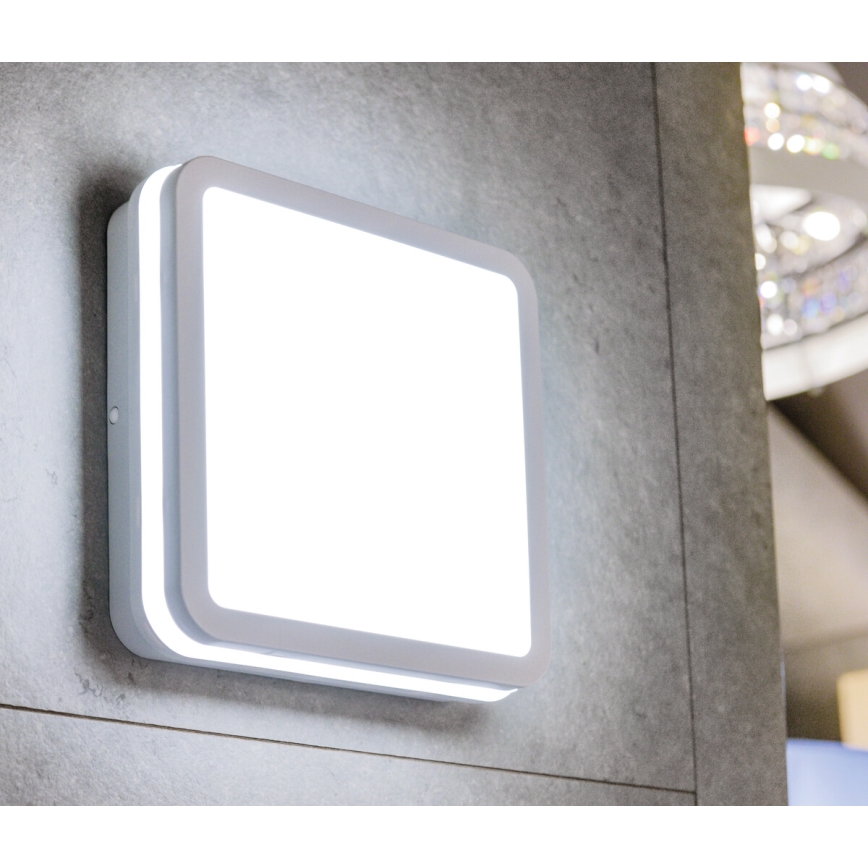 LED Āra griestu gaismeklis ar sensoru BENO LED/18W/230V IP54