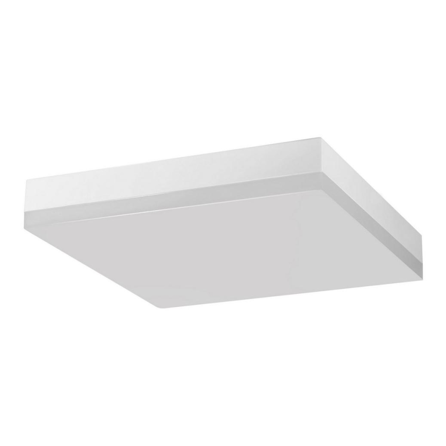 LED Āra griestu gaismeklis ar sensoru SMART-S LED/12W/230V IP44