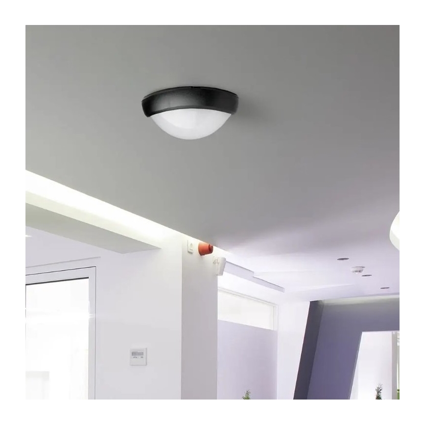 LED Āra griestu gaismeklis LED/12W/230V IP54