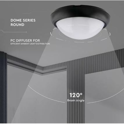 LED Āra griestu gaismeklis LED/12W/230V IP54