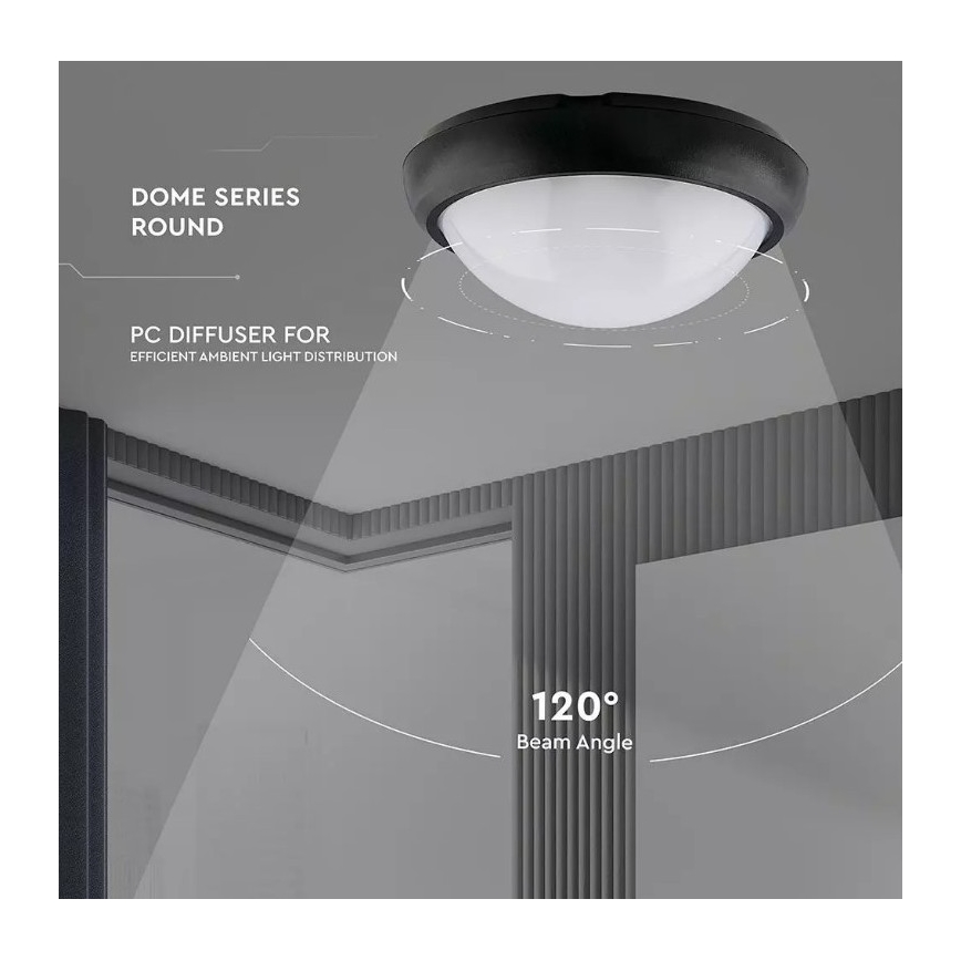LED Āra griestu gaismeklis LED/12W/230V IP54