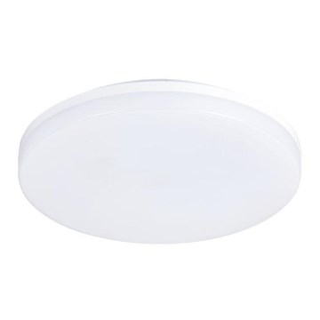 LED Āra griestu gaismeklis LED/15W/230V IP54