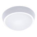 LED Āra griestu gaismeklis LED/18W/230V  IP65