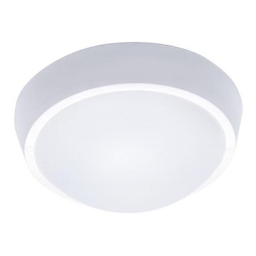 LED Āra griestu gaismeklis LED/18W/230V  IP65
