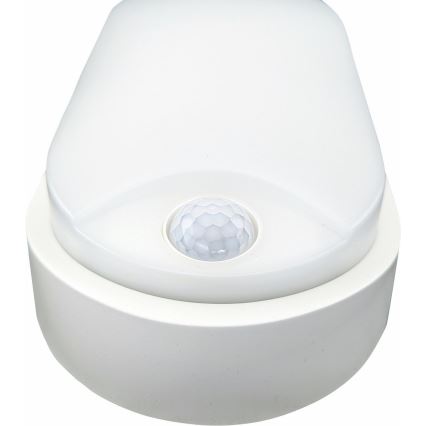 LED Āra griestu lampa ar sensoru LED/14W/230V IP54 balta