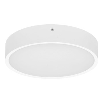 LED Āra griestu lampa ar sensoru MARTIN LED/15W/230V 3000/4000K d. 30 cm IP65 balta