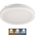 LED Āra griestu lampa BENO E LED/12W/230V 3000/4000/6500K d. 20 cm IP65 balta