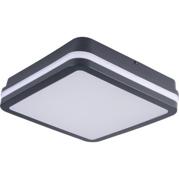 LED Āra griestu lampa BENO LED/12/18W/230V 3000/3500/4000K IP65 antracīta leņķa