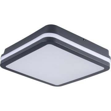 LED Āra griestu lampa BENO LED/24/30W/230V 3000/3500/4000K IP65 antracīta leņķa