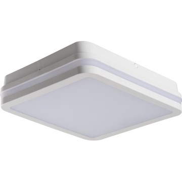 LED Āra griestu lampa BENO LED/24/30W/230V 3000/3500/4000K IP65 balta leņķa