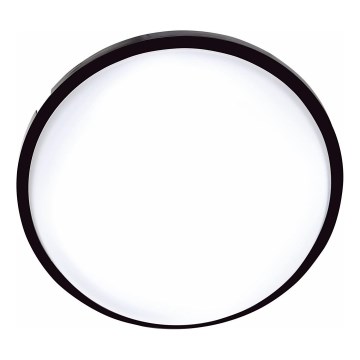 LED Āra griestu lampa DARA LED/20W/230V IP65 melna