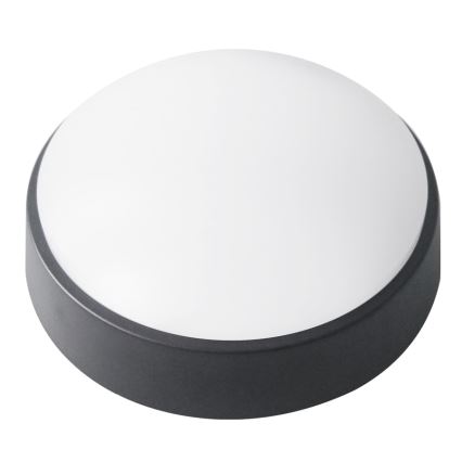 LED Āra griestu lampa LED/14W/230V IP54 melna
