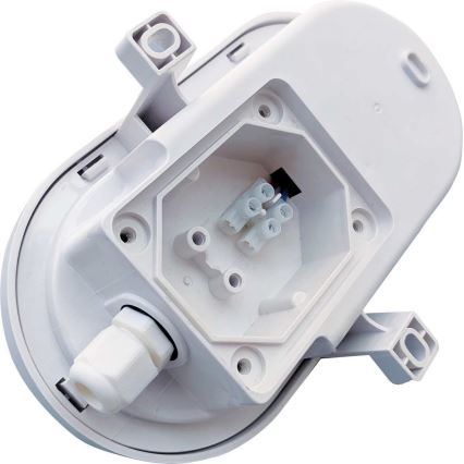 LED Āra griestu lampa LED/6W/230V 4000K IP54 balta