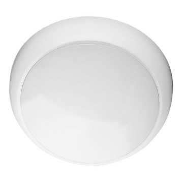 LED Āra griestu lampa LED/8W/16W/20W/230V IP65 3000/4000/6500K