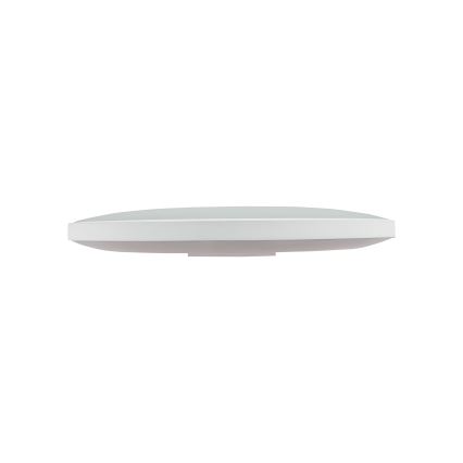 LED Āra griestu lampa NYMPHEA LED/32W/230V IP54 3000K