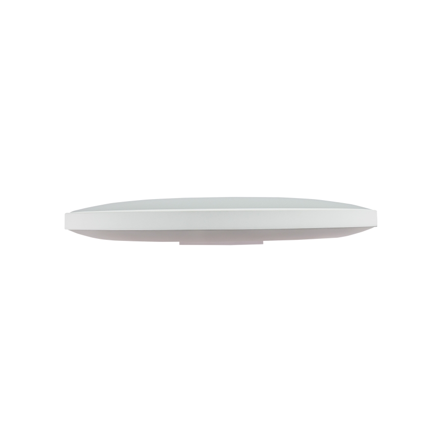 LED Āra griestu lampa NYMPHEA LED/32W/230V IP54 6000K